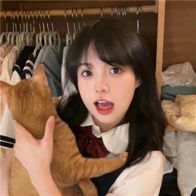 导演狂想曲